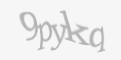 Κωδικός ασφαλείας
