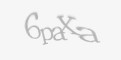 Κωδικός ασφαλείας