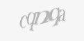Κωδικός ασφαλείας